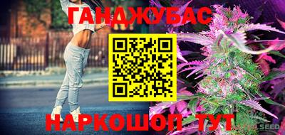 стафф Пенза