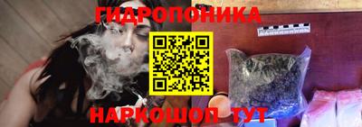 стафф Пенза
